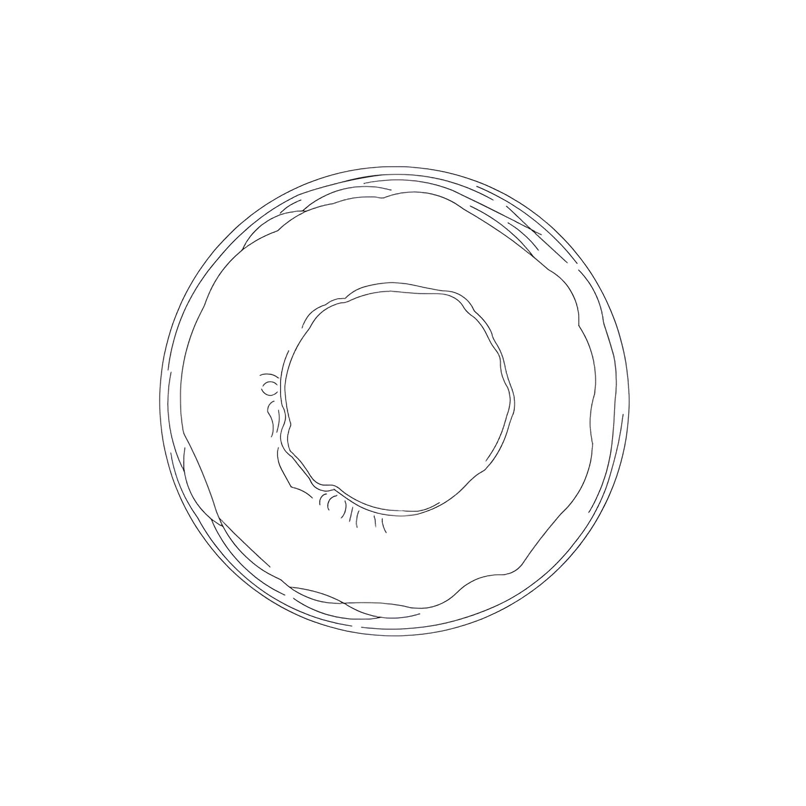 CetoWave – Glass Wall Lamp Nordic Sculptural LED Light for Bedroom Living Room Hallway in Black or Gold with Clear Smoky or Opal Glass