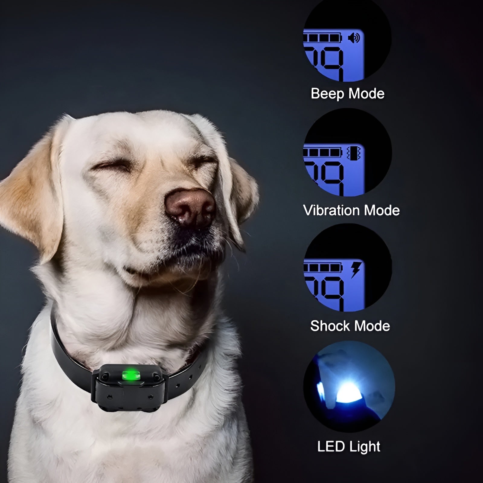 PawSync – Electric Dog Training E-Collar with Remote Control