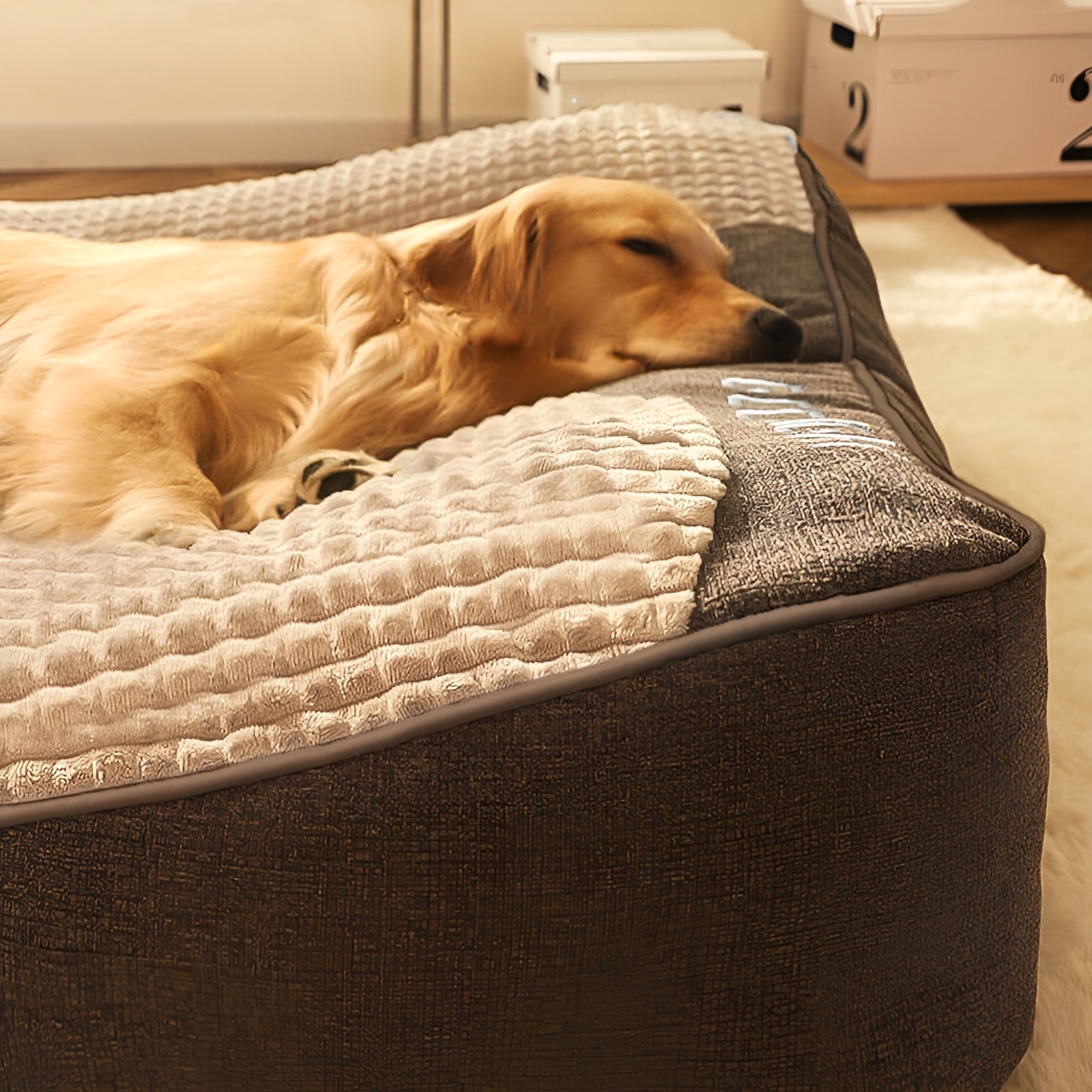 CushionPaws – Orthopaedic Dog Bed with Headrest for Ultimate Comfort and Support