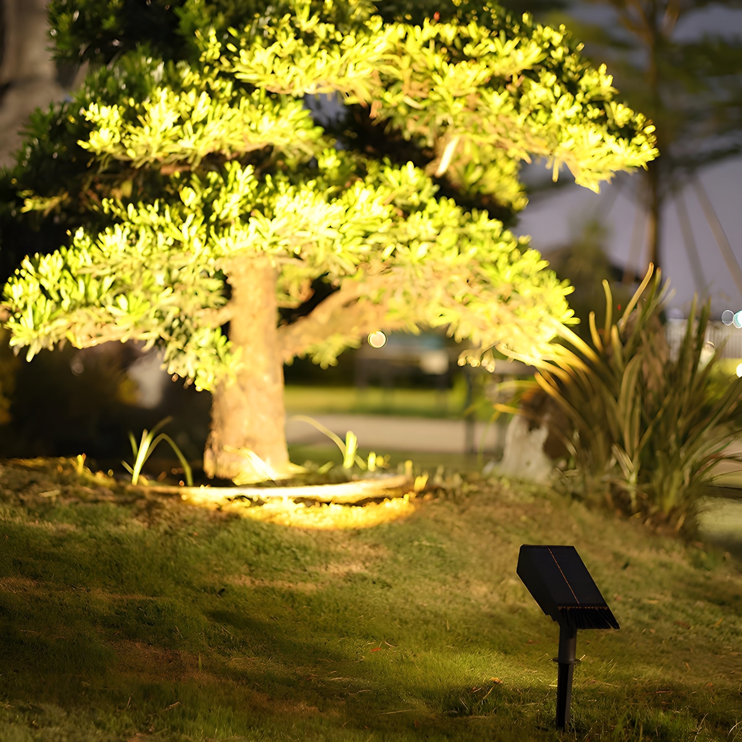SolarVesta – Waterproof LED Solar Multi Zoom Spot Light for Outdoor Spaces